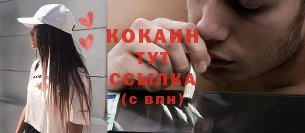 соль ск Алзамай