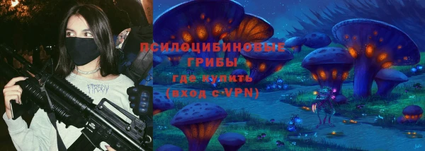 соль ск Алзамай