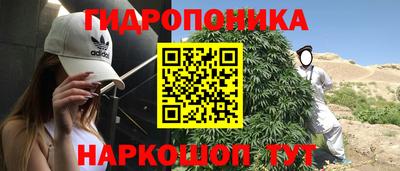 гашик Вязьма