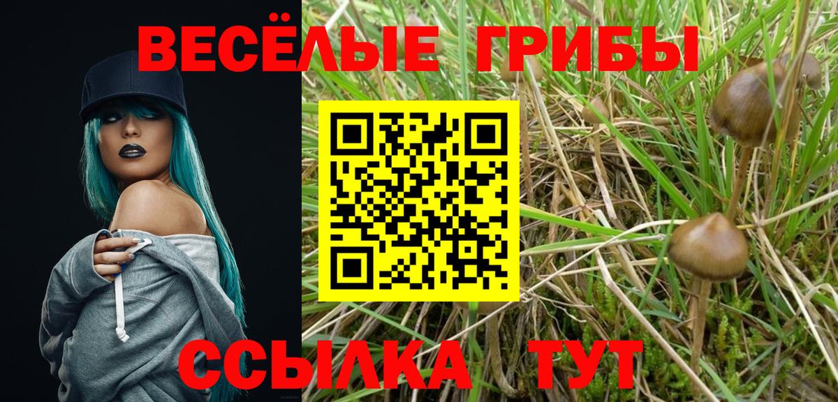 Псилоцибиновые грибы Magic Shrooms Кондопога