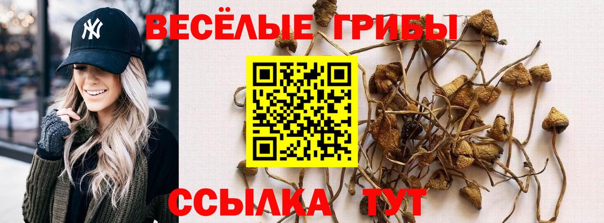 Кондопога  Галлюциногенные грибы Psilocybe  Галлюциногенные грибы Cubensis  Вход с VPN 