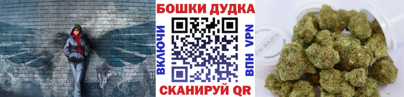 кракен tor  Кондопога  Бошки марихуана ГИДРОПОН 